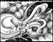 Dragon_1